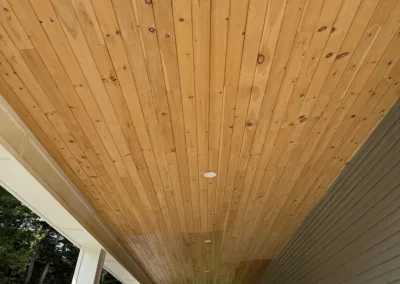 Professional Staining